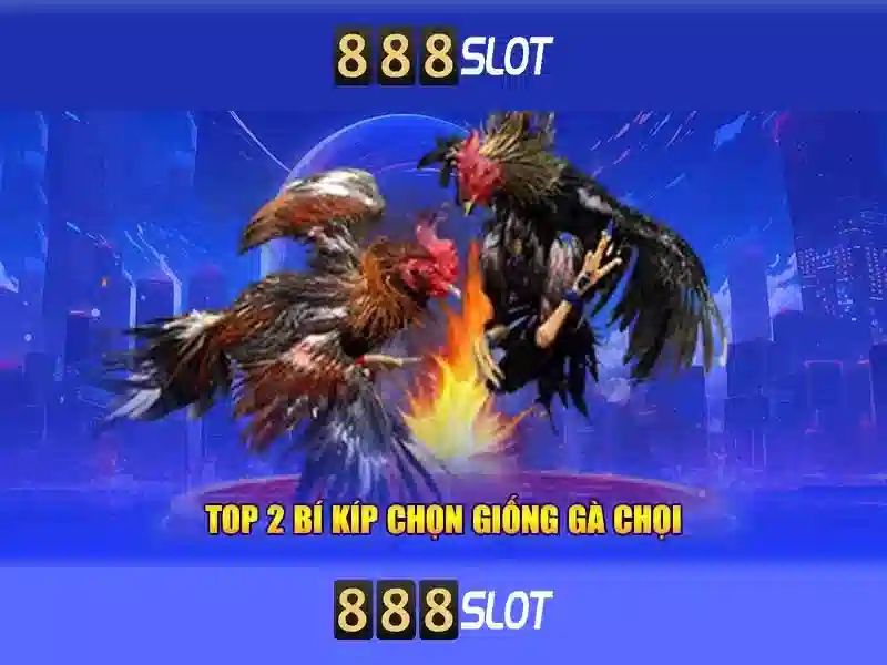 butterfly 888 slot – Trải nghiệm đột phá và giá trị