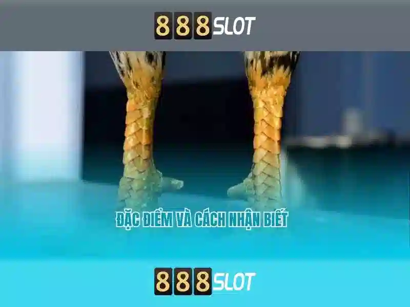 Tong quan chu de va gia tri cot loi