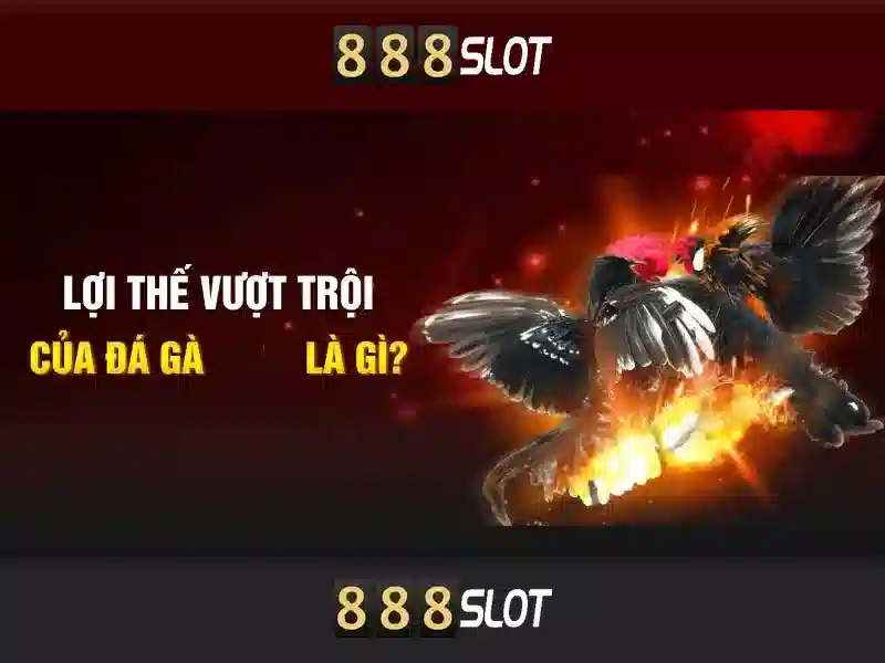888 slot apk download – Tóm lược chủ đề và giá trị cốt lõi