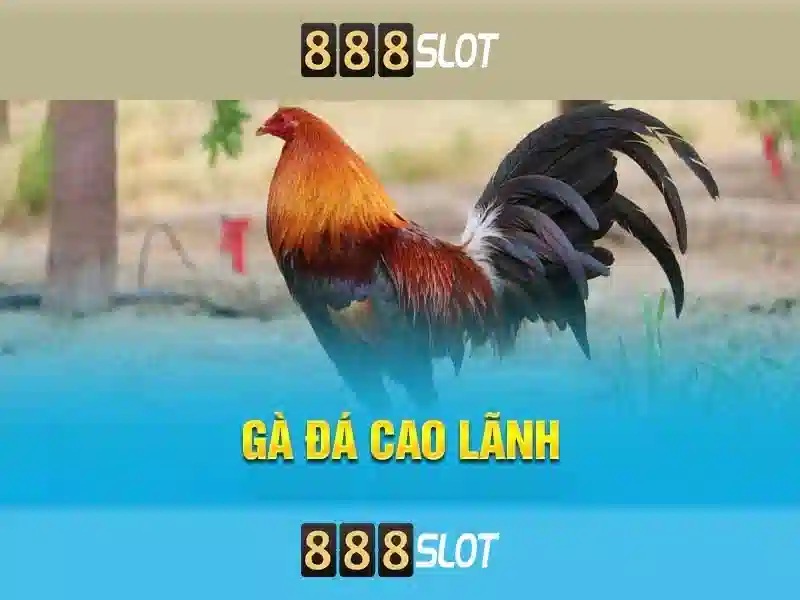 Giới thiệu về 888slot – trải nghiệm giải trí trực tuyến