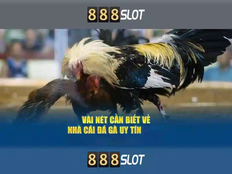 auto slot 888 – Tổng quan chủ đề và giá trị cốt lõi