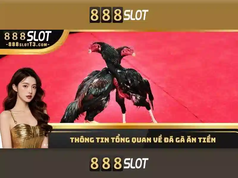Sản phẩm và dịch vụ cốt lõi của bigg boss 888 slot – ứng dụng thực tế