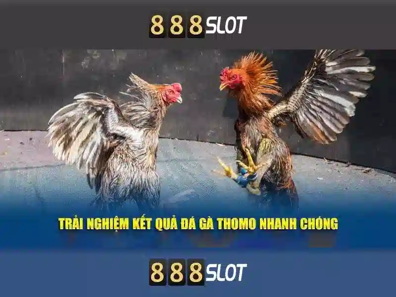 888slot: Tổng quan và trải nghiệm trên nền tảng slot trực tuyến
