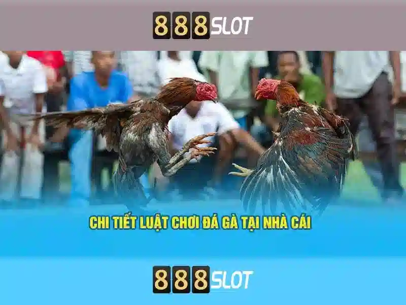 Tính năng nổi bật của 888slot\n
