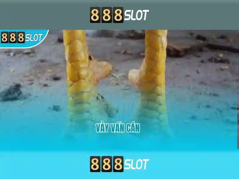 Tổng quan về 888slot - Trải nghiệm casino trực tuyến