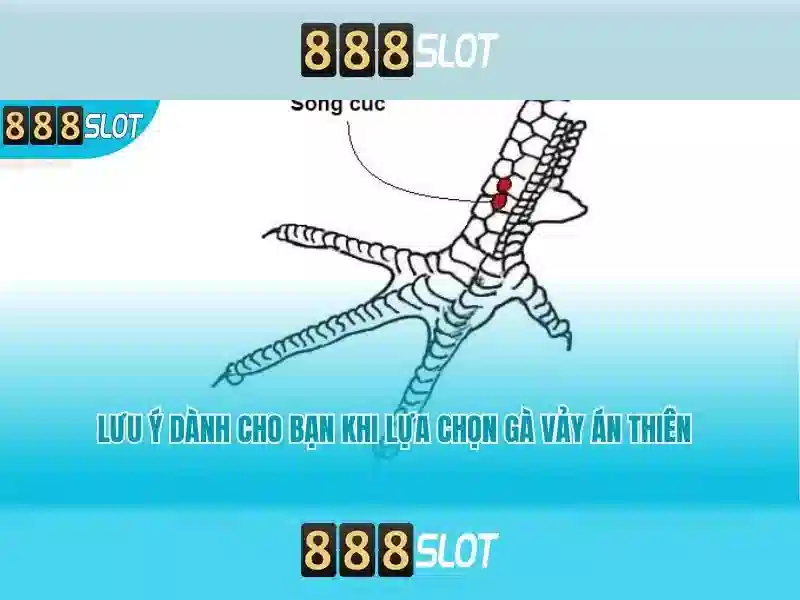 Giới thiệu về 888slot