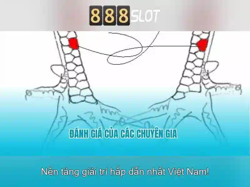 888slot: Nền tảng slot trực tuyến hàng đầu cho người chơi Việt Nam