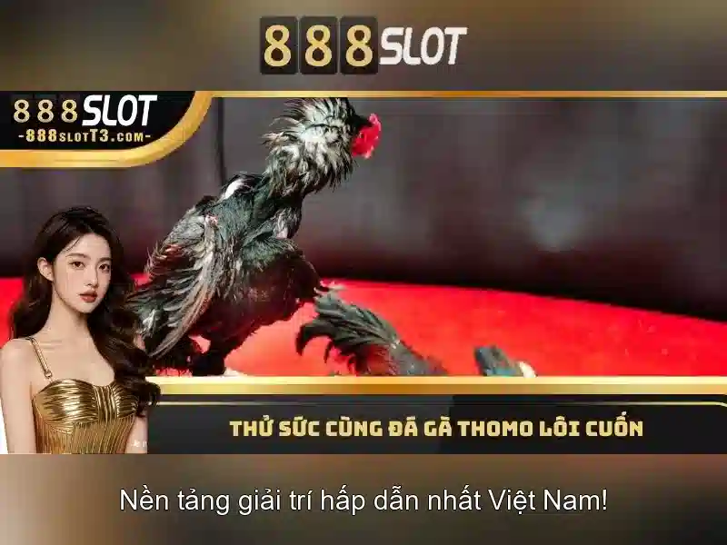 Khuyến mãi và dịch vụ khách hàng