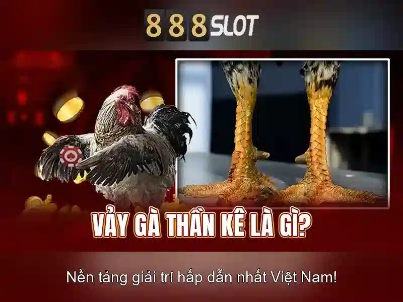 Nhà cung cấp uy tín và công nghệ\n