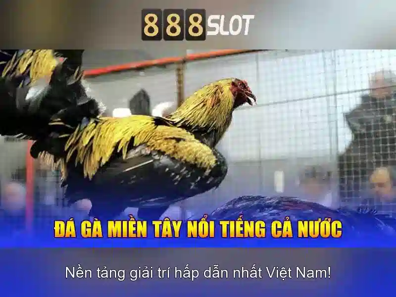 888slot: Trải nghiệm chơi slot trực tuyến đỉnh cao
