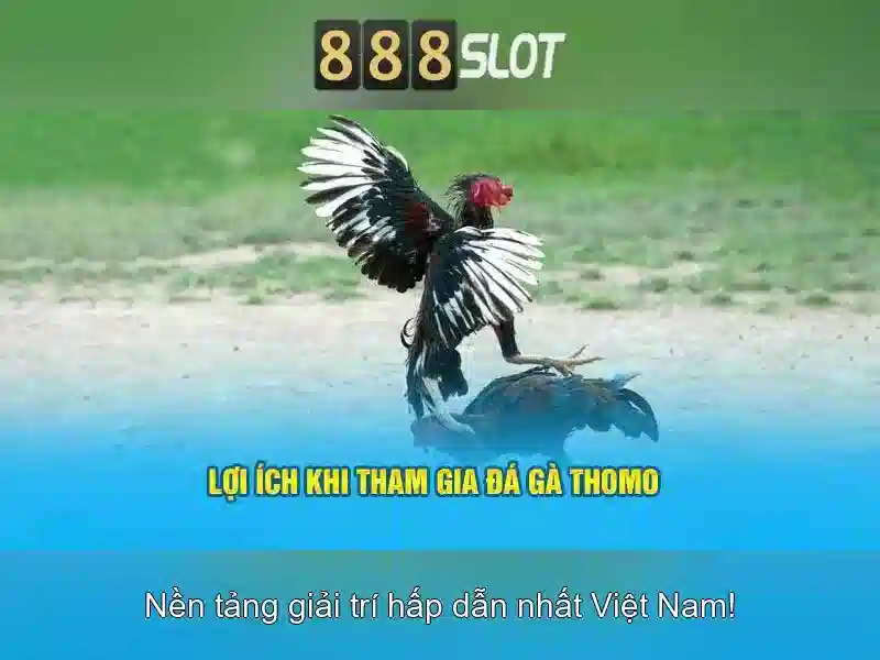 888slot: Trải nghiệm máy đánh bạc trực tuyến đáng tin cậy tại Việt Nam