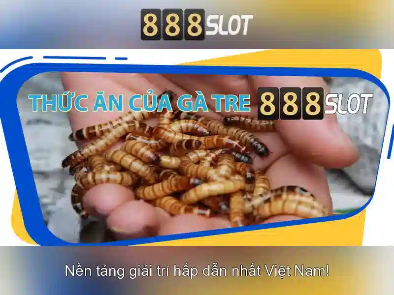 Giới thiệu về 888slot: Nền tảng slot trực tuyến hàng đầu