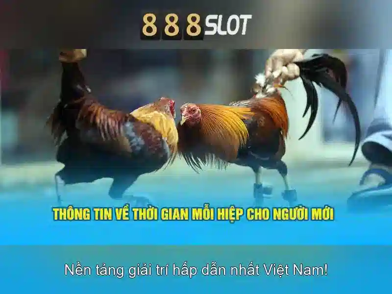 Mẹo chơi bắn cá 3 cây dễ ăn tiền nhà cái